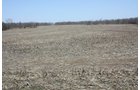 Property photo 7 - 200+/- Acre Land Auction in Gibson County, Indiana